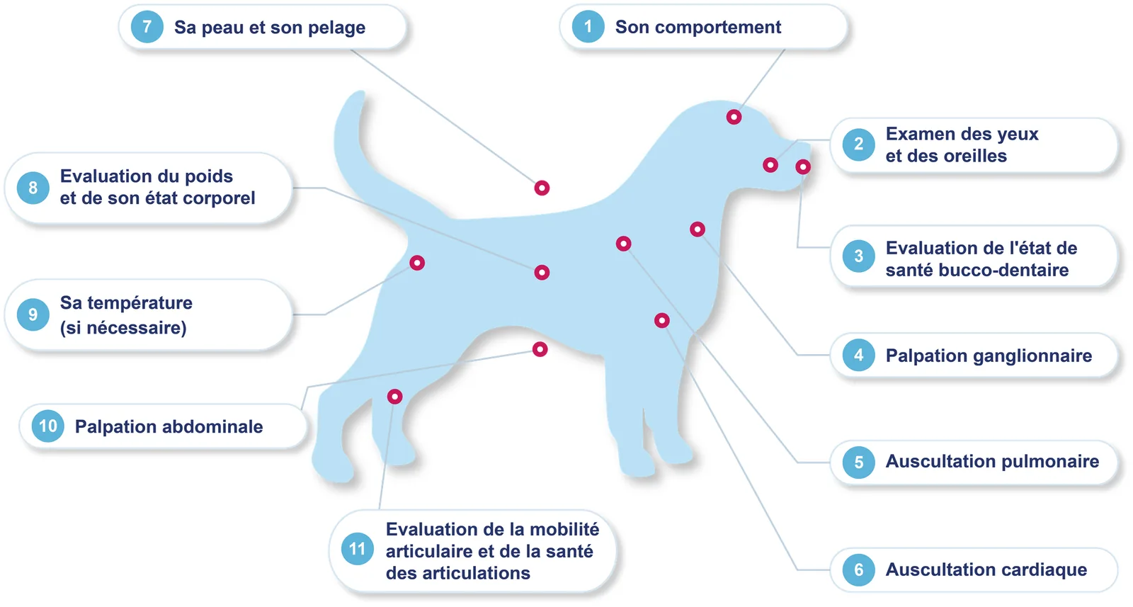 Infographie des 11 points vérifiés par le vétérinaire lors de la visite annuelle