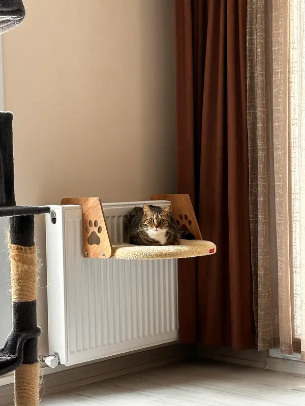 Chat installé dans un hamac de radiateur près d’une fenêtre