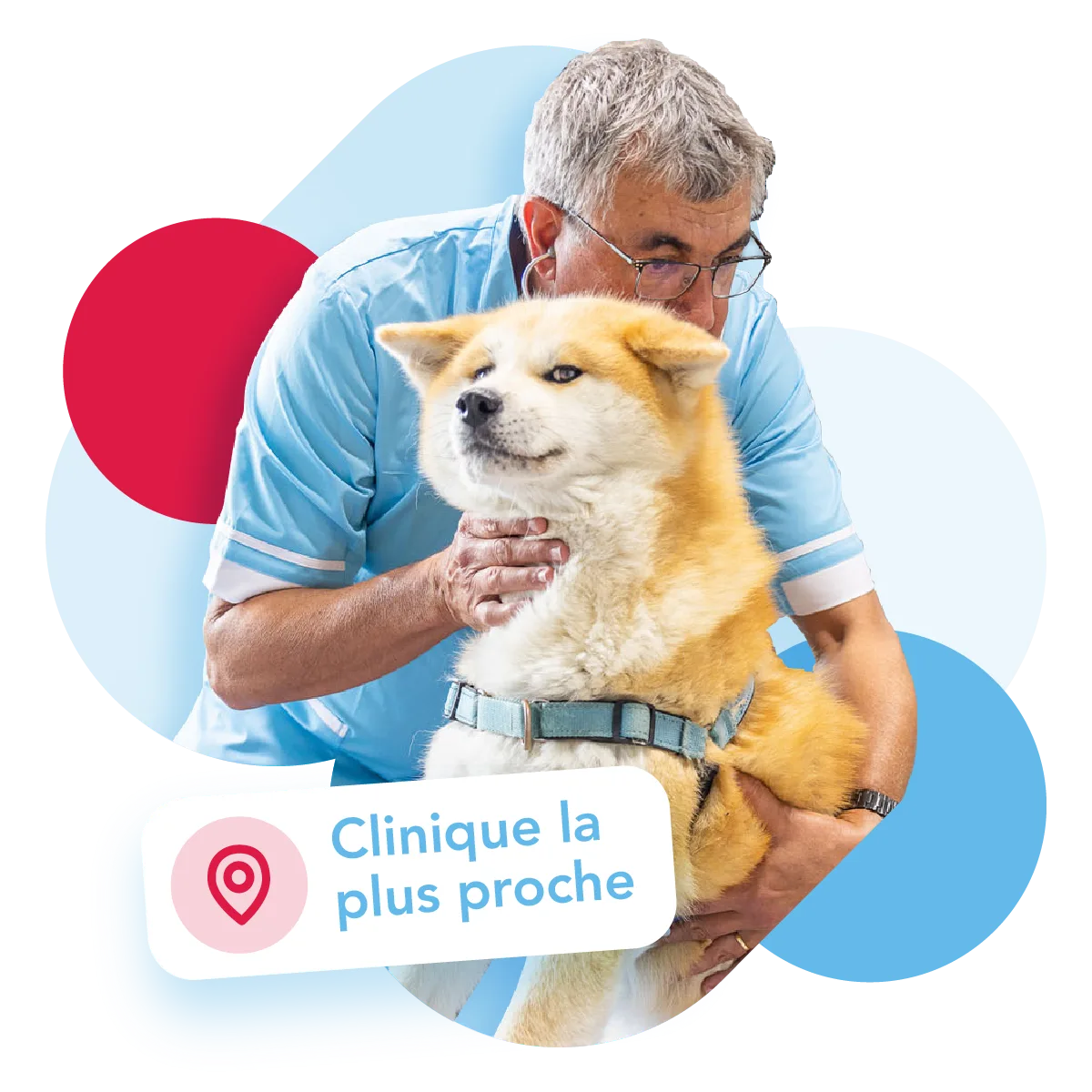 Équipe d’une clinique vétérinaire Argos