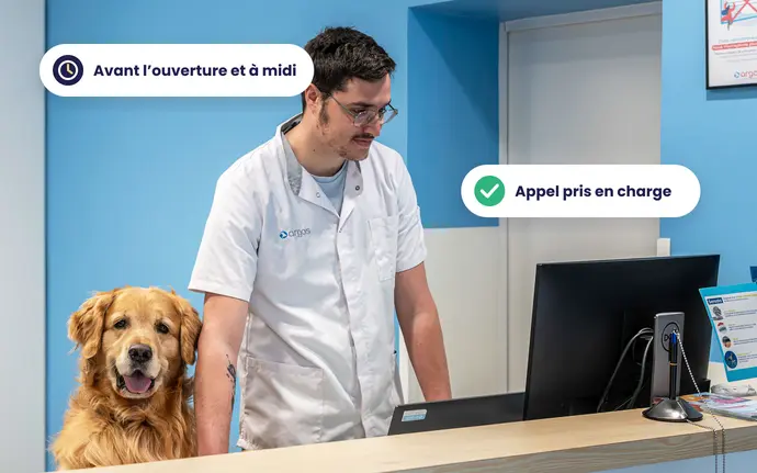 Accueil d’une clinique vétérinaire Argos : appels pris en charge avant l’ouverture et à midi