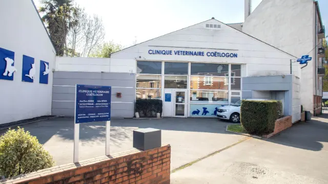 Clinique vétérinaire Argos Rennes Coëtlogon