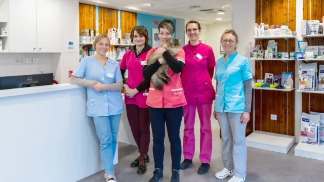 Clinique vétérinaire Argos Metz Sainte-Thérèse