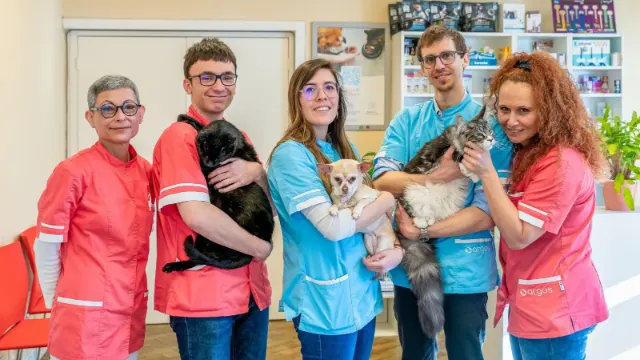 Clinique vétérinaire Argos Fontaines-sur-Saône