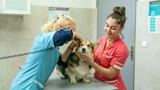 Clinique vétérinaire Argos Ventabren