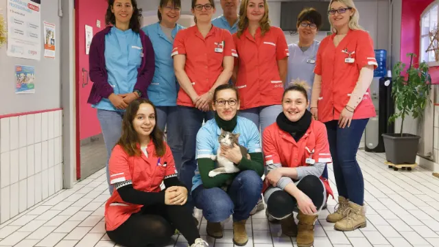 Clinique vétérinaire Argos Épernay Saint-Pierre