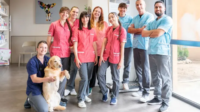 Clinique vétérinaire Argos Aix Parade