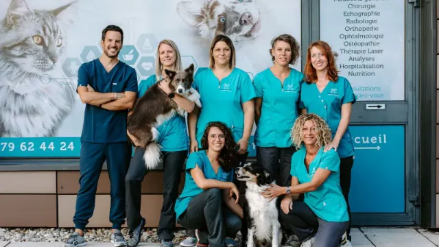 Clinique vétérinaire Argos Chamnord