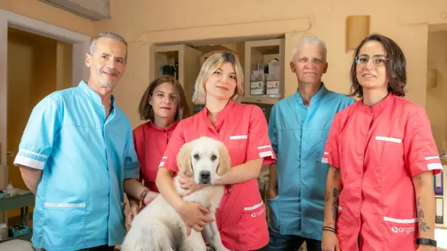 Clinique vétérinaire Argos Strasbourg Les Platanes