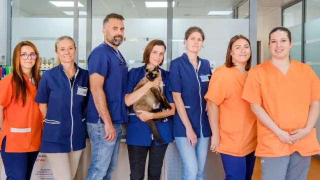 Clinique vétérinaire Argos Antibes Bel Air