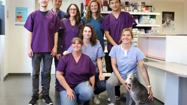 Clinique vétérinaire Argos Reims Dauphinot