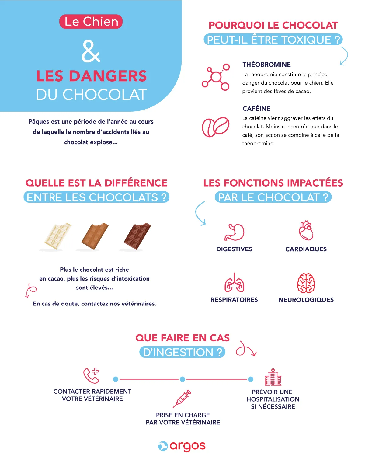 Fêtes de Pâques : attention, danger pour votre chien !