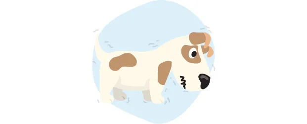 Apprenez à comprendre votre chiot grâce au langage corporel