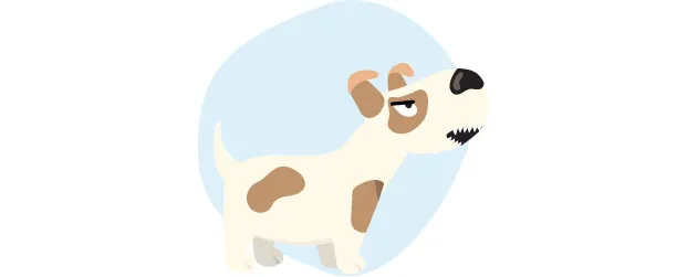Apprenez à comprendre votre chiot grâce au langage corporel