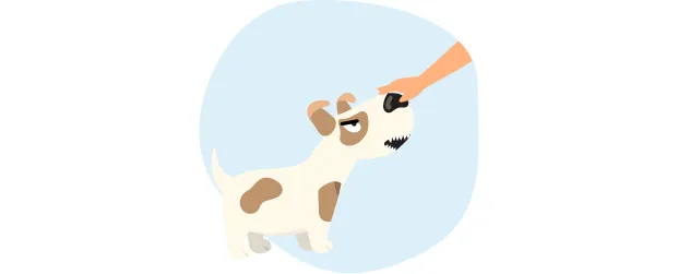 Apprenez à comprendre votre chiot grâce au langage corporel