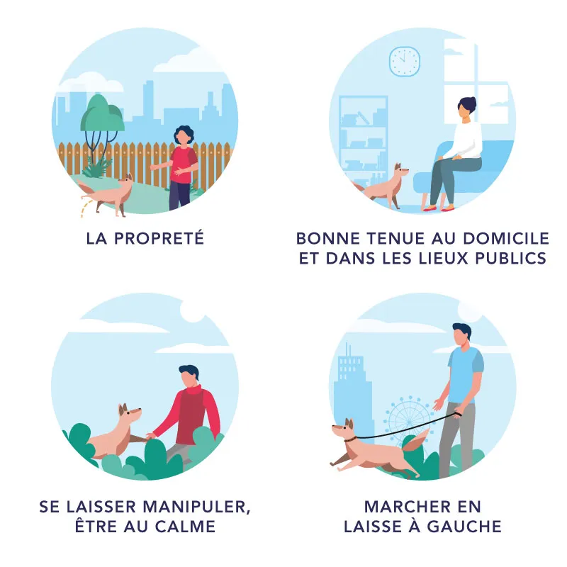 Les familles d’accueil des futurs chiens guides des associations affilées la FFAC