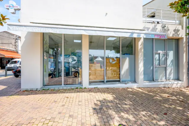 Clinique vétérinaire Argos Bègles, photo 3