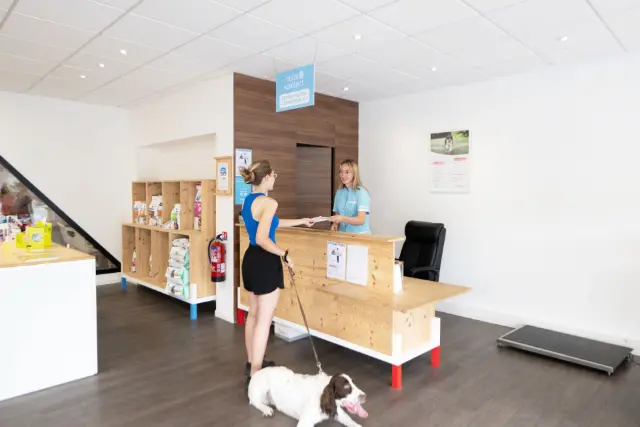 Clinique vétérinaire Argos Mérignac, photo 1