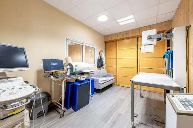 Clinique vétérinaire Argos Mérignac, photo 2