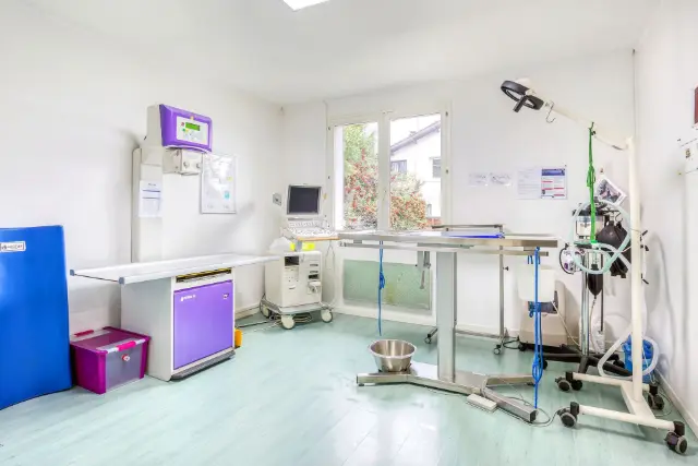 Clinique vétérinaire Argos Saint-Aubin-de-Médoc, photo 2