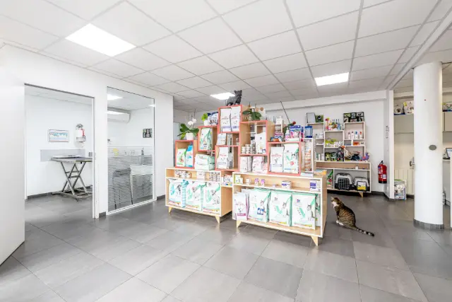 Clinique vétérinaire Argos Villenave d Ornon, photo 2