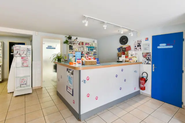 Clinique vétérinaire Argos Portet-sur-Garonne, photo 3