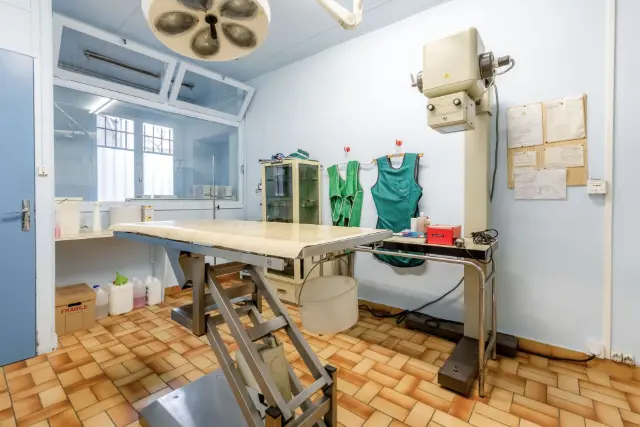Clinique vétérinaire Argos Lyon Valmy, photo 1