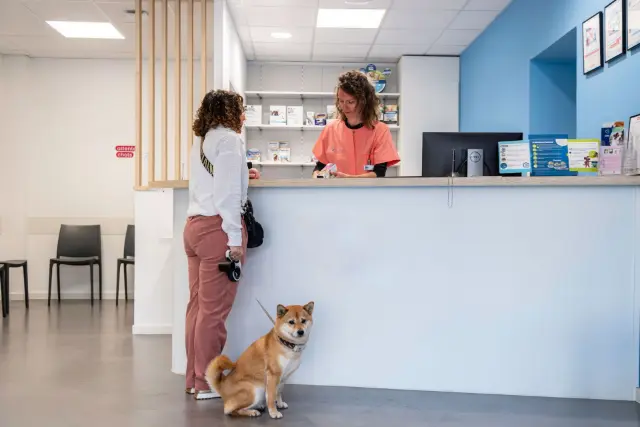Clinique vétérinaire Argos Grenoble Esplanade, photo 1