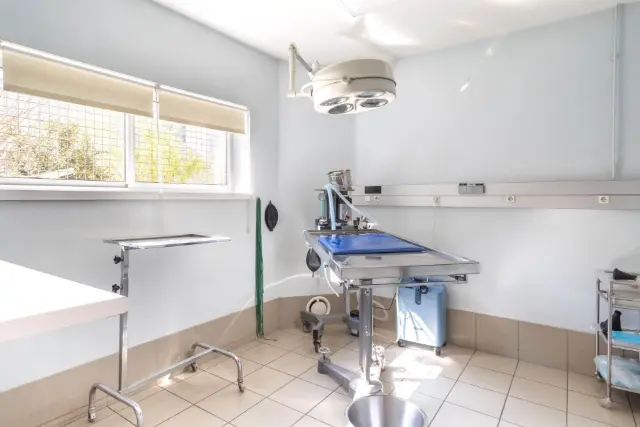 Clinique vétérinaire Argos Rennes Coëtlogon, photo 3
