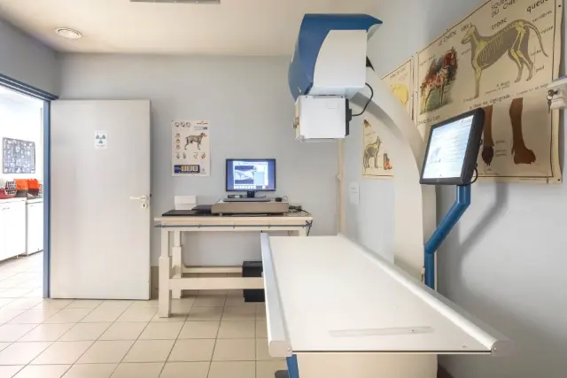 Clinique vétérinaire Argos Rennes Coëtlogon, photo 4