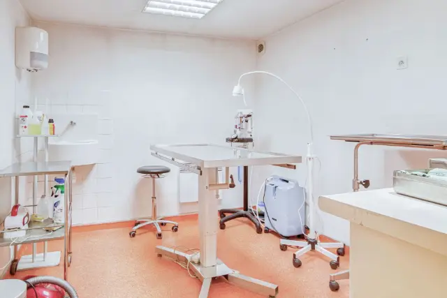 Clinique vétérinaire Argos Caluire Boucle, photo 2