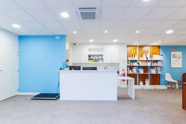 Clinique vétérinaire Argos Metz Sainte-Thérèse, photo 2