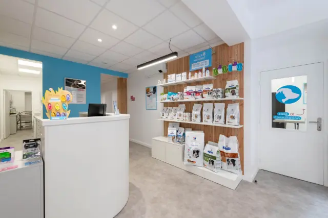 Clinique vétérinaire Argos Toulouse les Carmes, photo 2