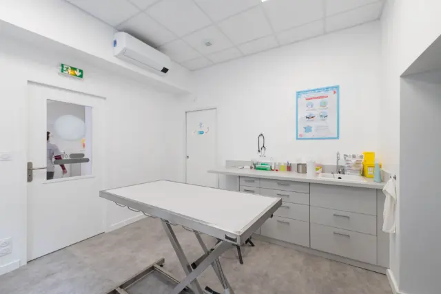 Clinique vétérinaire Argos Toulouse les Carmes, photo 3