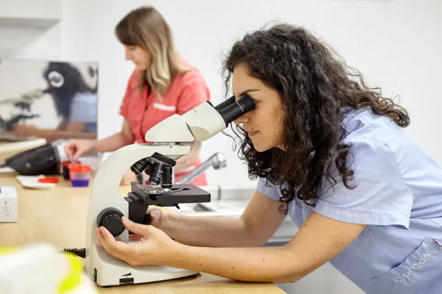Clinique vétérinaire Argos Paris Avron, photo 2