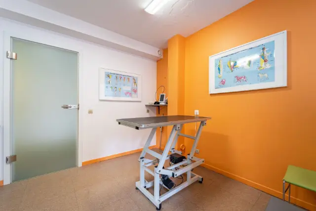 Clinique vétérinaire Argos Rozérieulles, photo 3