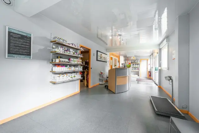 Clinique vétérinaire Argos Rozérieulles, photo 4