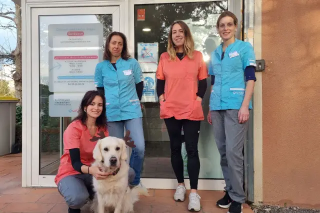 Clinique vétérinaire Argos Gardanne, photo 3