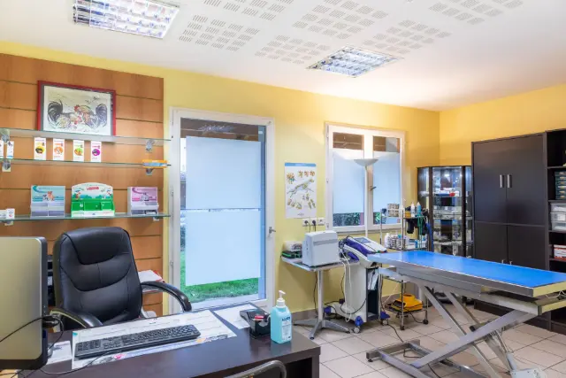 Clinique vétérinaire Argos Saint Denis-lès-Bourg Maison Bleue, photo 3