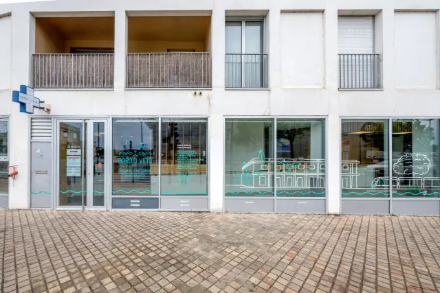 Clinique vétérinaire Argos BordO Véto, photo 3