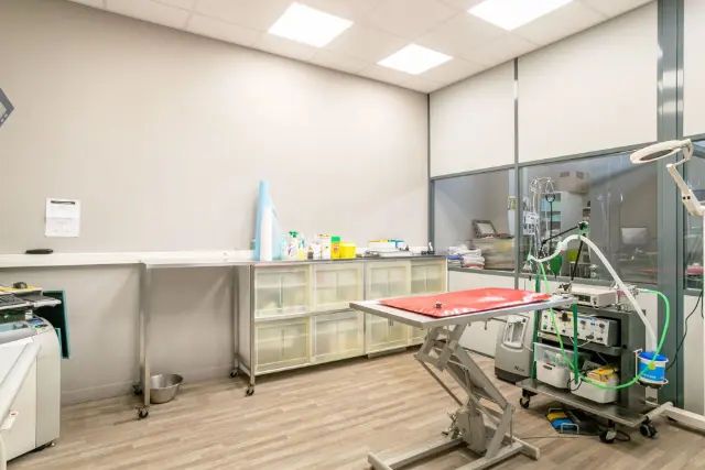Clinique vétérinaire Argos Nanterre, photo 2