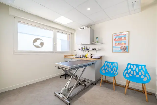 Clinique vétérinaire Argos Sainte-Luce, photo 1