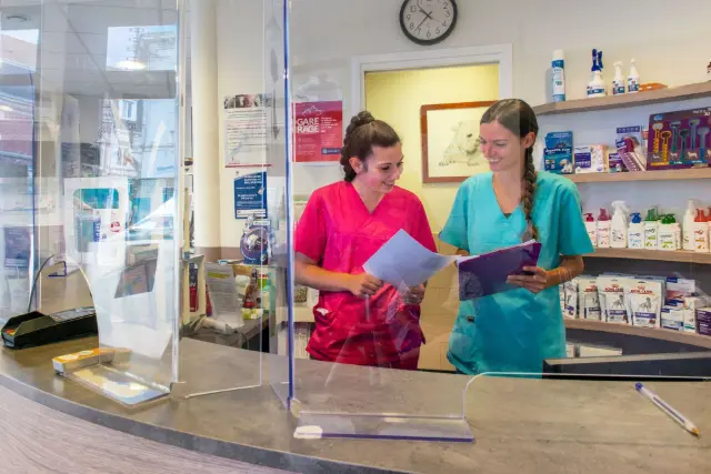 Clinique vétérinaire Argos Calais du Parc, photo 1