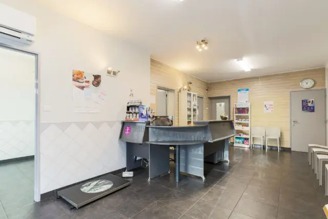 Clinique vétérinaire Argos Saint-Julien-lès-Metz, photo 2