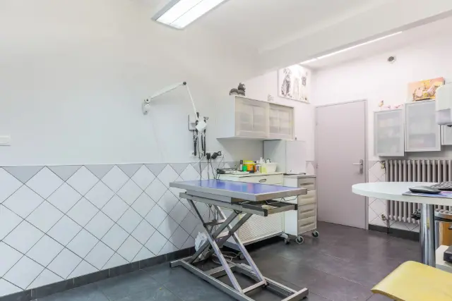 Clinique vétérinaire Argos Saint-Julien-lès-Metz, photo 3