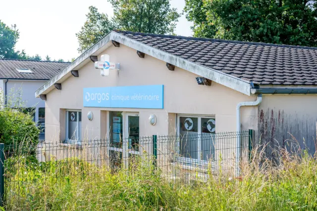 Clinique vétérinaire Argos Fargues Saint-Hilaire, photo 2