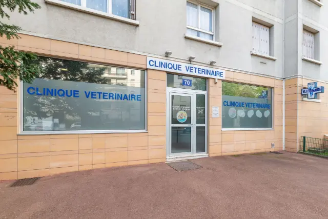 Clinique vétérinaire Argos Villeurbanne Grandclément, photo 3
