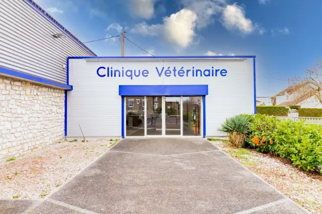 Clinique vétérinaire Argos Brive les Cèdres, photo 3