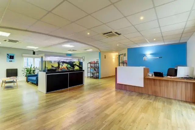 Clinique vétérinaire Argos Beaune Veterinarium, photo 2