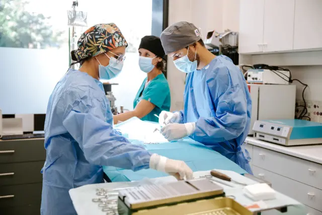 Clinique vétérinaire Argos Chamnord, photo 3