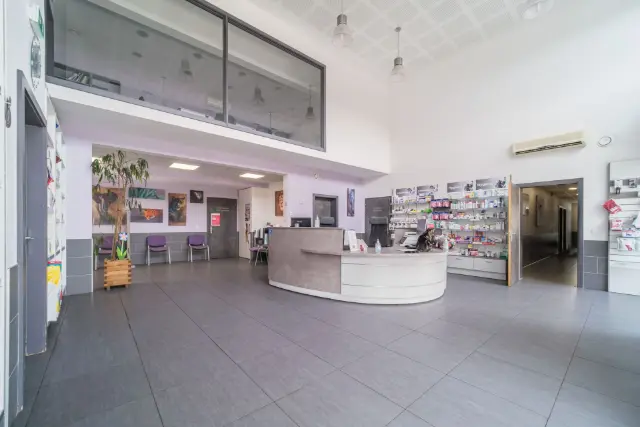 Clinique vétérinaire Argos Cernay, photo 3